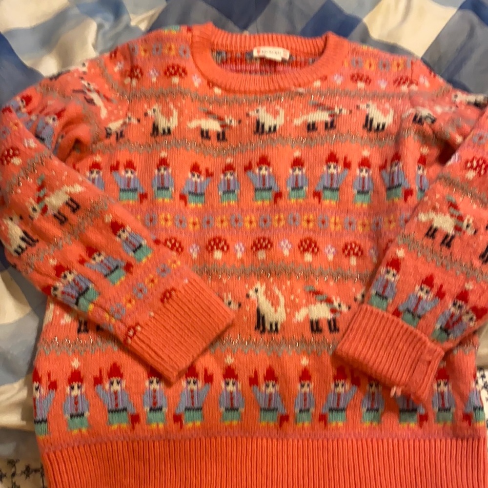 Size 10 J crew gnome sweater never worn!
